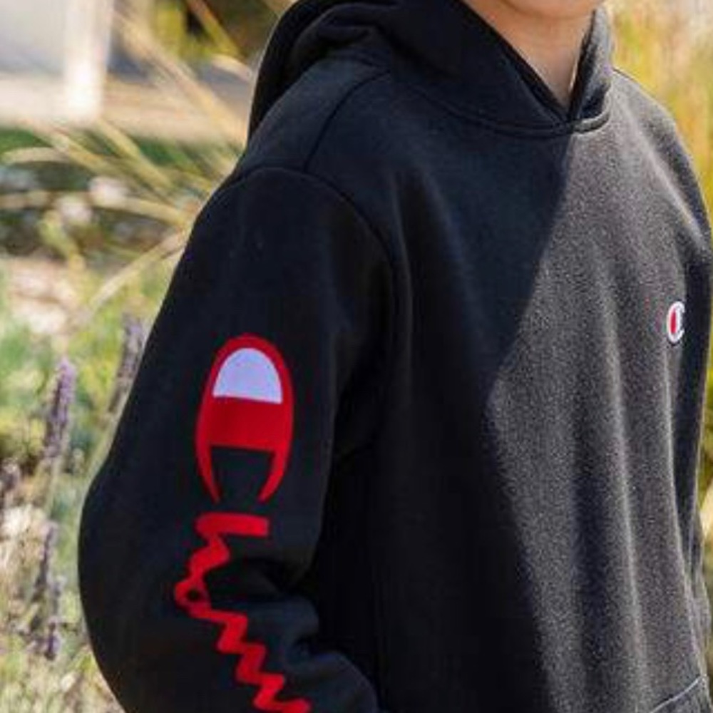Champion Sweater